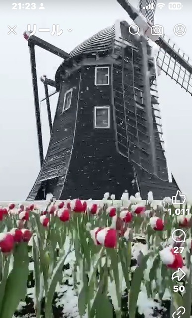IMG_7425.jpeg